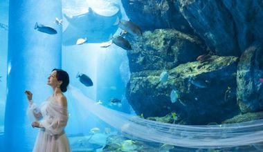 海の世界で叶える水族館フォト＆会食プラン