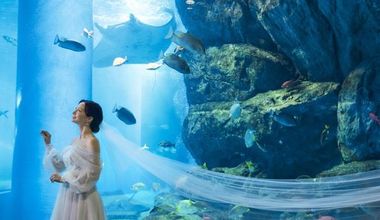 海の世界で叶える水族館フォト＆会食プラン