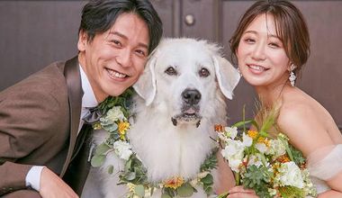 【ペット×家族婚】27年1月末まで／10名602,470円