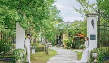 2026年通年プラン