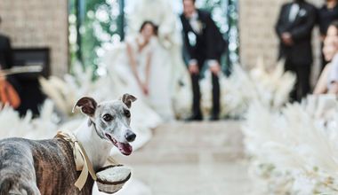 【ペットに嬉しい特典付】ペットフレンドリーホテルで叶える贅沢W