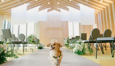 26年6月まで特別！【愛犬】と過ごす挙式＋パーティー特別なウエディング【 the P.A.W. WAY】