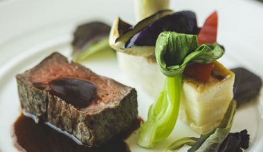 【顔合わせ】料理評価5.0満点★予約殺到の美食レストランで自然と笑顔に