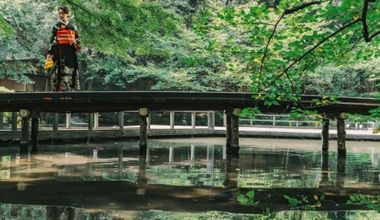 【静岡和婚プラン】静岡浅間神社で心に残る結婚式を
