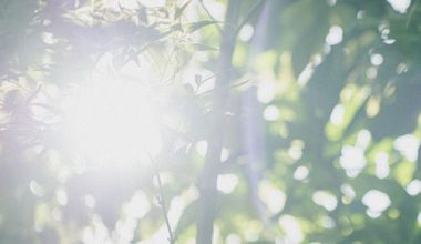 【2026年3～5月限定】人前式＆披露宴プラン（30名様～）