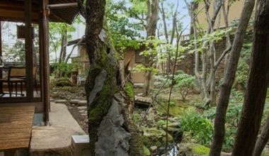 【2026年5・6月まで限定】人前式＆披露宴プラン（20～40名様）