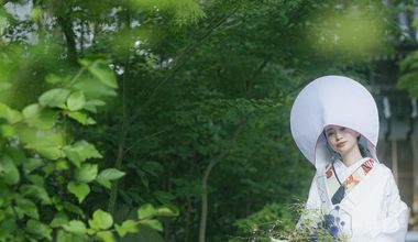 【2027年3～4月限定】 神社挙式＆披露宴/会食会プラン（15名～）