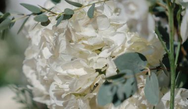 【2026年4月まで限定】人前式＆披露宴プラン（30名様～）