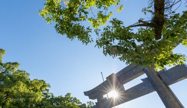 【直前割】2025年12月まで限定|神社式&披露宴プラン(20名様~)