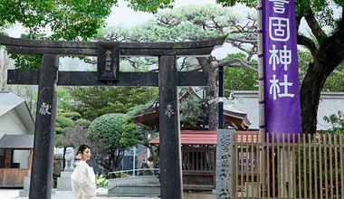 ≪26年3～5月≫季節の花が彩る春プラン