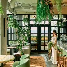 【2026年6月までの期間限定*スペシャルプラン】 80名 299万円