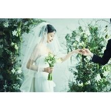 【開業記念特別プラン】