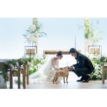 ペット参加OK｜高層階貸切で自由度の高い結婚式が叶う