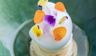 【50名＊挙式＆披露宴／10ヶ月以内】オープン記念プラン50