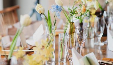 パーティのみプラン（15～40名様／2026年8月まで）