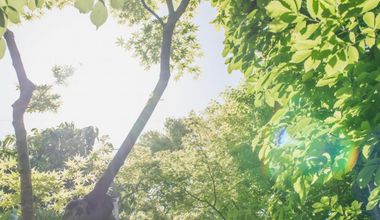 8大特典付き！【26年8月まで】挙式＆披露宴プラン