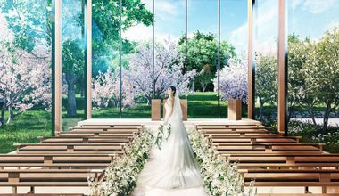 オープン記念特別プラン