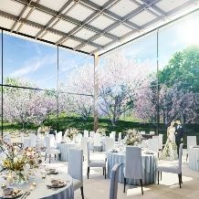 オープン記念特別プラン【70名】