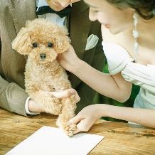 【ペット婚プラン】大切な家族と一緒に*「挙式＆パーティ」どちらもOK♪