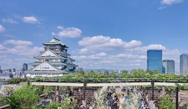 ＜早割&オフシーズン特典有＞2026年6月～8月限定最大42万円ご優待【50名248万】