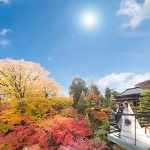 【2026年10-12月】50名63万特典★中～大人数会場「箔」で紅葉に彩られた贅沢な宴を
