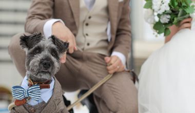 ペットフレンドリーWeddingプラン