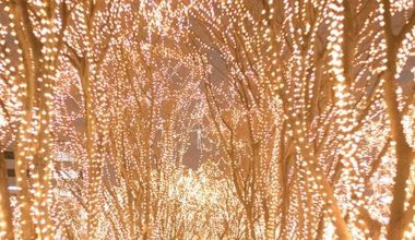 2026年12月光のスターライトウェディング*販売開始！【40～90名208～328万円】