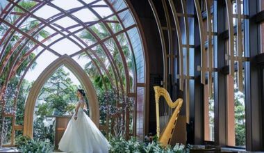 【2027年1-3月限定プラン】60名305万円