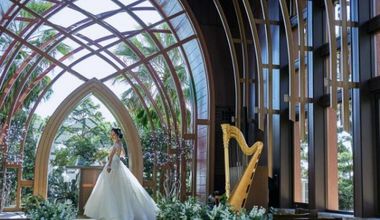 【2026年10-12月限定プラン】60名305万円