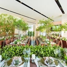 【組数限定】内容充実！19.8万円特別プラン