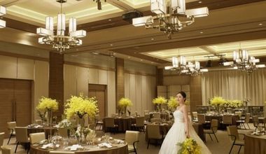 《オールシーズンプラン》人気時期を先取り【50名～226万】