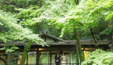 【2026年夏婚】深緑に包まれる結婚式