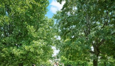 【オータムプラン】2026年9月～12月をご検討の方限定！