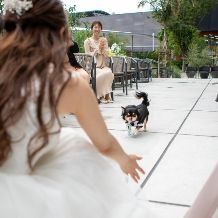 【憧れのペット婚プラン◆リングドッグOK】最大120万特典《60名301万→185万》大切な家族と叶える結婚式