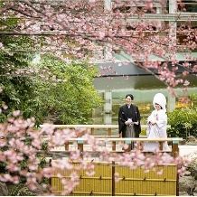 【26年3月～6月春婚プラン】今なら桜が咲く日程も選べる人気シーズンプラン 40名317→253万円