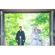 【27年4月～6月】人気シーズン早割Springプラン☆60名 278万円