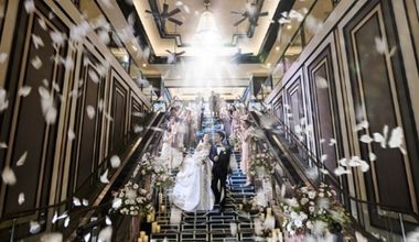 【30名様→99万円】リニューアル記念プラン