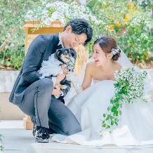 わんちゃんと挙式から披露宴までずっと一緒に。愛犬と叶えるペット婚プラン*わんちゃん用ケーキプレゼント