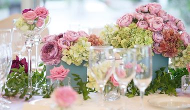 【10名様から】会食プラン