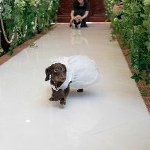 ペットもOK【家族同様のペットと一緒に挙げるファミリー婚】6名より家族挙式+会食が叶う!