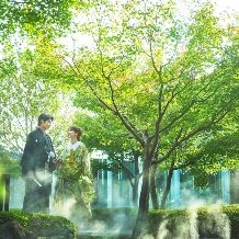 【2027年7～8月】＼60名73万円分特典／毎年大人気！緑が楽しめる夏を堪能サマープラン★