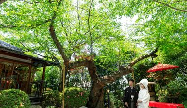 【2026年5月・8月限定｜40名211万円】緑がきれいなシーズン限定プラン＜最大65万円特典＞