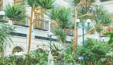 ＜サマープラン＞