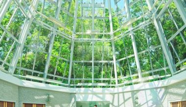 《アニバーサリープラン》