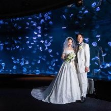【水族館×フォトウエディングプラン】夢の貸切！日本最大級くらげ水槽「海月空感」でもお写真撮り放題