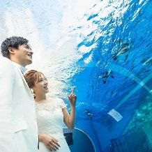 【今ならお得！2027年春婚プラン】2027年3～4月対象 ＼水族館挙式＆パーティ／賢く叶うプラン