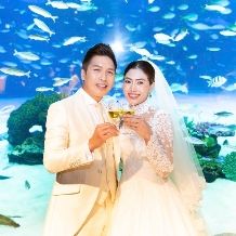【そら婚プラン】サンシャイン水族館を貸切挙式 × 展望スカイレストランでの披露宴