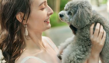 【50名258万円】ドックwithウェディングプラン