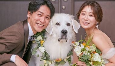 【秋婚】26年9～11月まで／50名1,598,910円