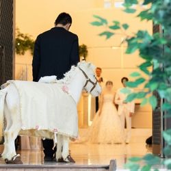 ポニーウエディング相談会
